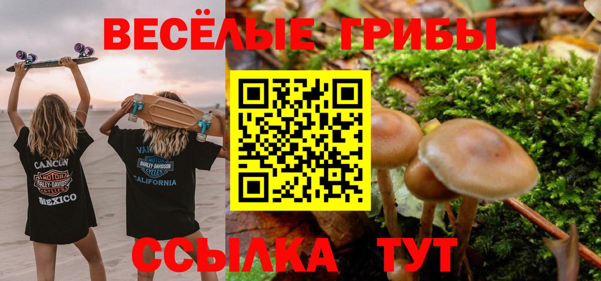 Галлюциногенные грибы ЛСД Добрянка